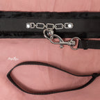 Punishment Crystal Collar and Leash