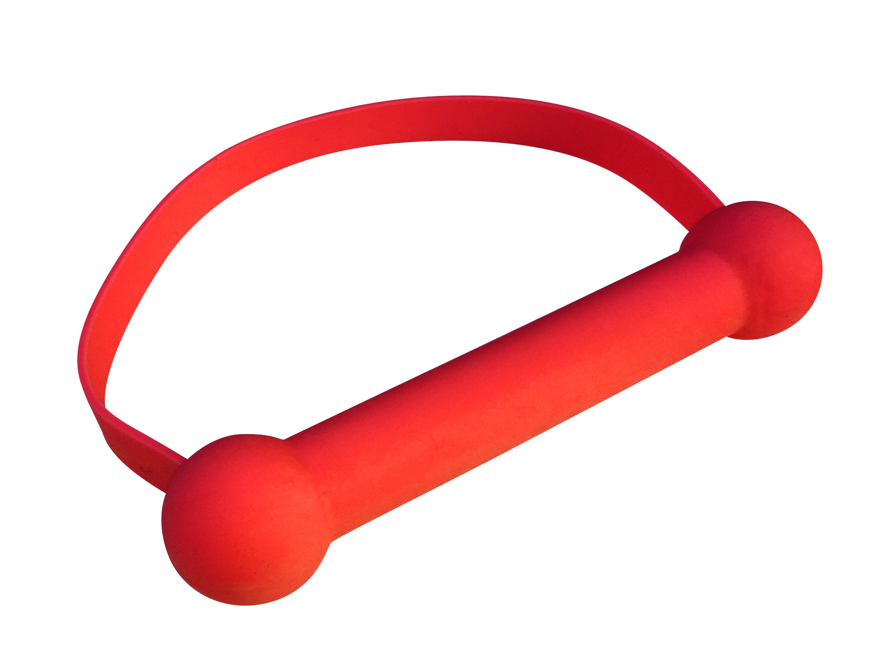 Silicone Mouth Bit Gag