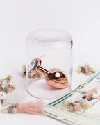 Rear Assets Rose Gold + Clear Gem Anal Plug by NS