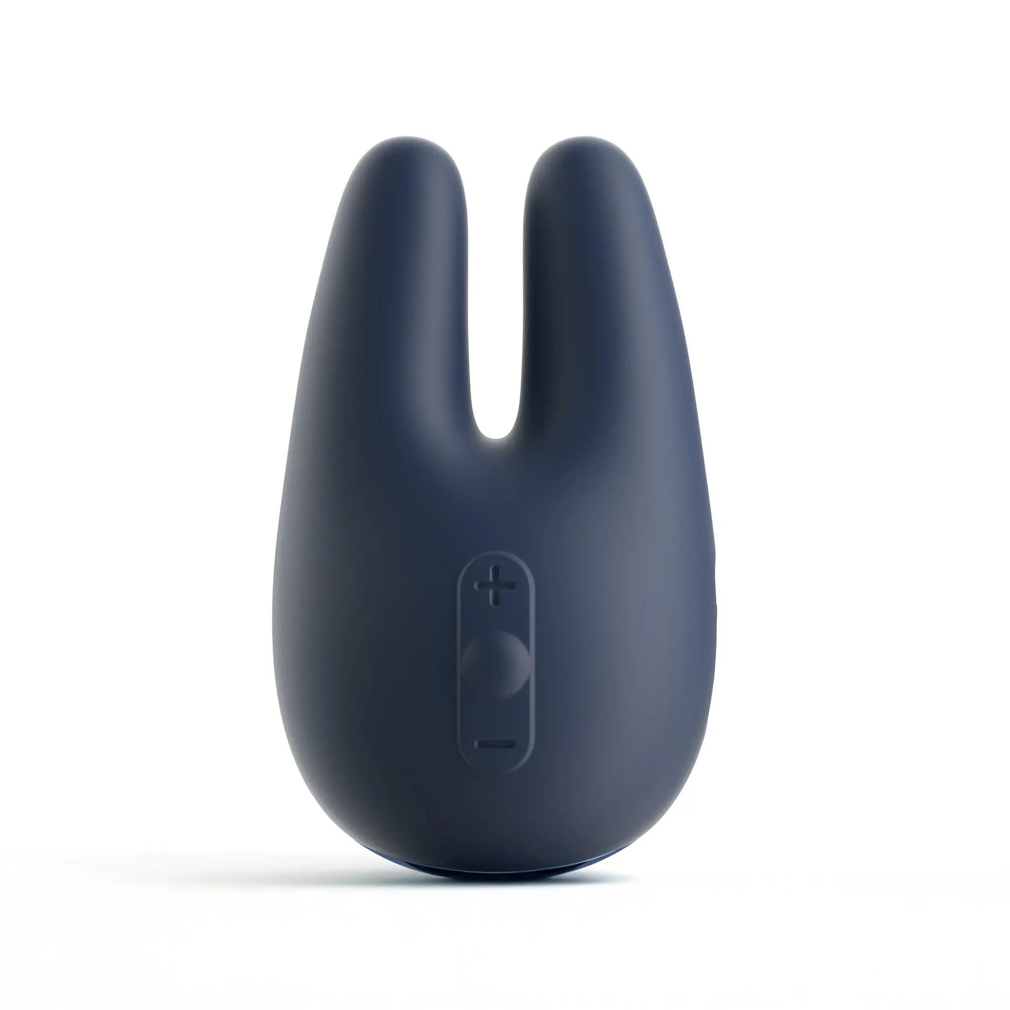 Form 2® Pro