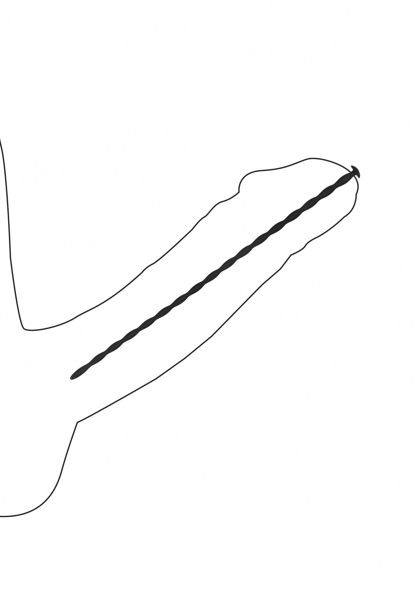Silicone Spiral Screw Plug Set - Urethral Sounding