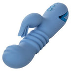 California Dreaming Santa Cruz 'Coaster - Thrusting + Fluttering Rabbit Vibrator