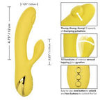 California Dreaming San Diego Seduction - Thumping + Massaging Rabbit Vibrator