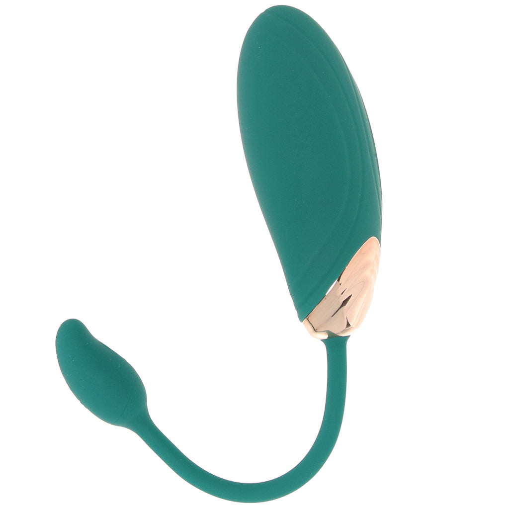 Blaze Dual Massager Kit