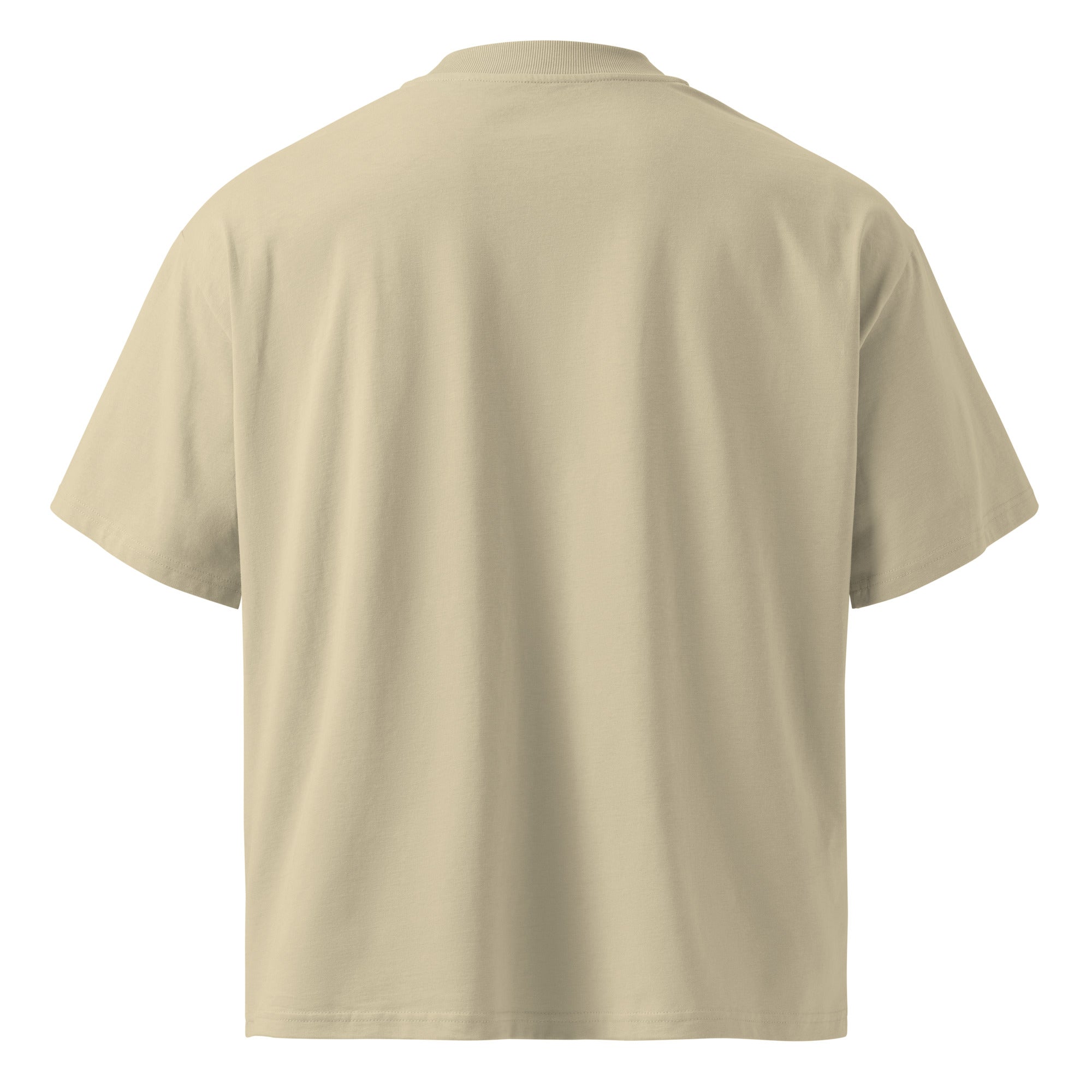 Adult Time  - Oversized Organic Tee